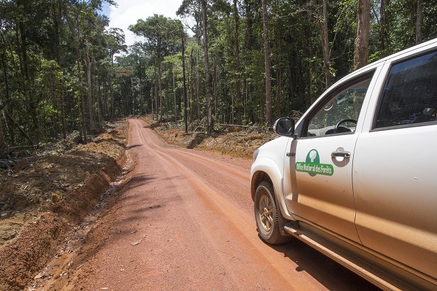 Forêt domaniale de Counamama secteur Tamanoir© X.Demongin/ Min.Agri.Fr